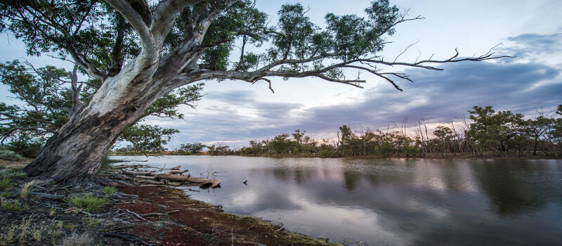 River sunset on the Mid Murray River.