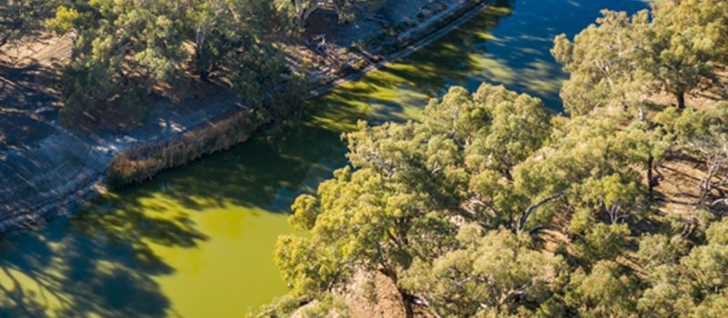 Aerial view of Darling River with algal bloom