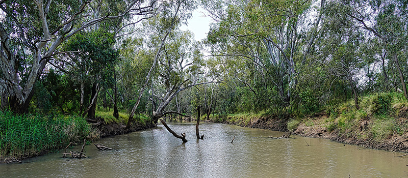 Macquarie-Castlereagh River 