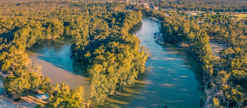 The Murray River at Moama in New South Wales.