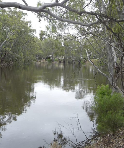 Murrumbidgee river in Hay, NSW.