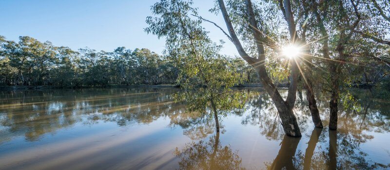 Murrumbidgee River at sunset.