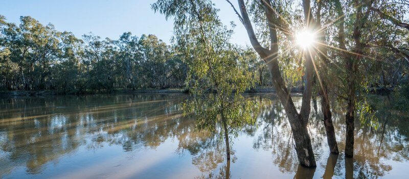 Murrumbidgee River at sunset.