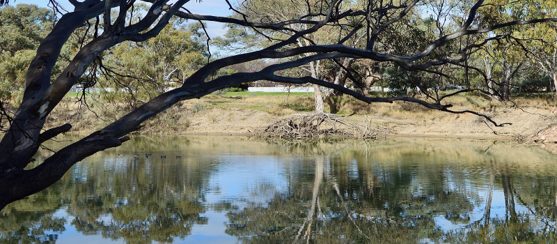 A view of the Murrumbidgee River at the town of Hay in NSW