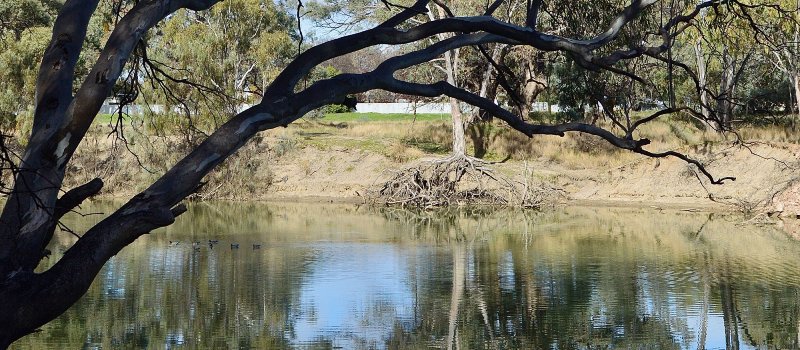 A view of the Murrumbidgee River at the town of Hay in NSW