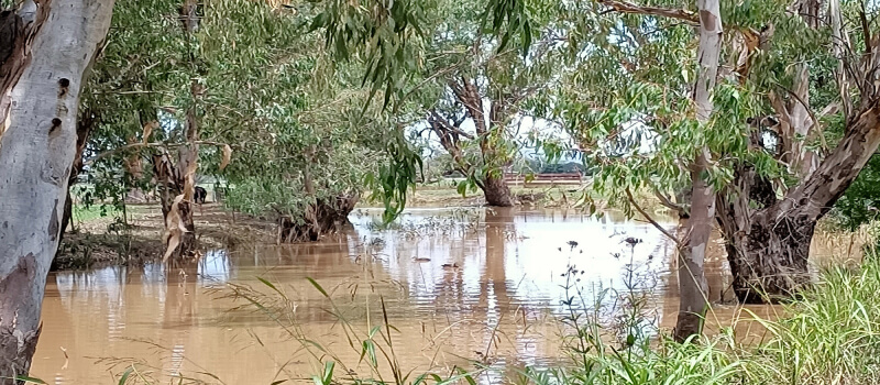 Namoi River, NSW.