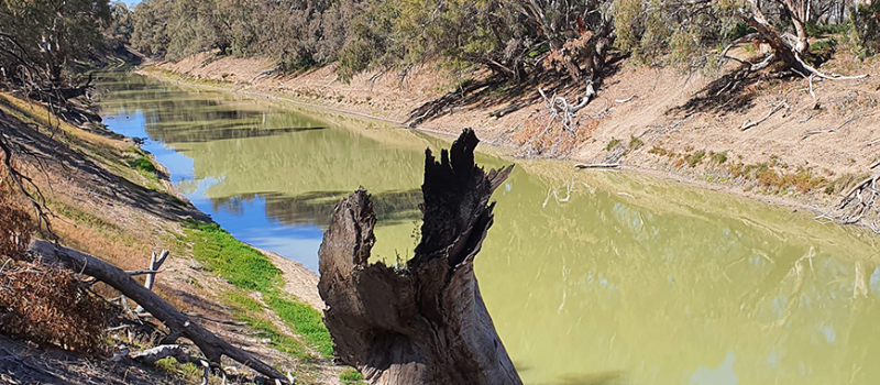 New site for Wilcannia Weir