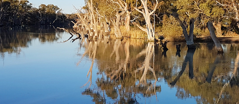 Nimmie-Caira Project.