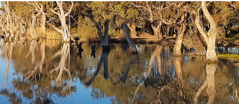 Nimmie-Caira Project.