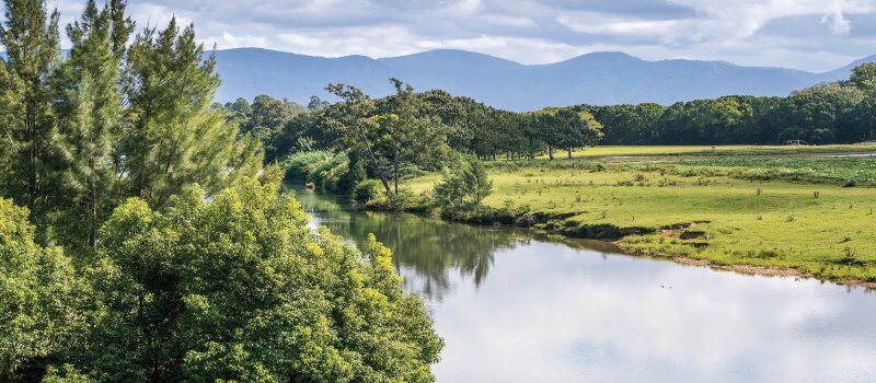 Bellingen river.