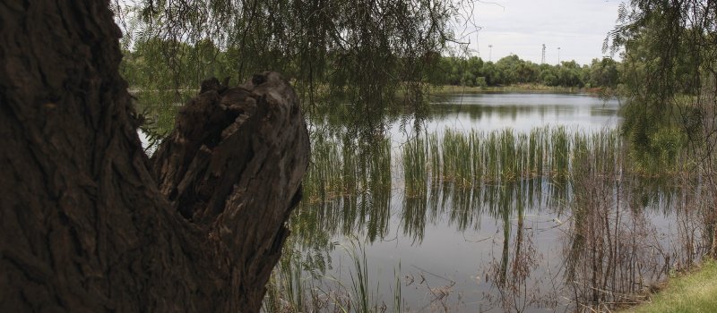 The man-made Newey Reserve in Cobar, NSW.
