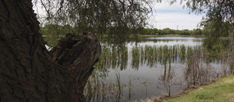The man-made Newey Reserve in Cobar, NSW.