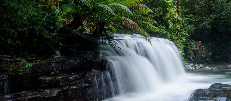 Barrington Falls, Barrington Tops National Park - Image credit: John Spencer