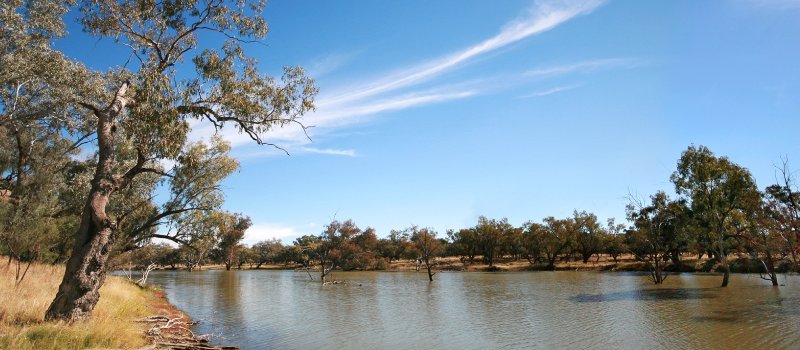 	Darling river in outback Australia near the town of Bourke.