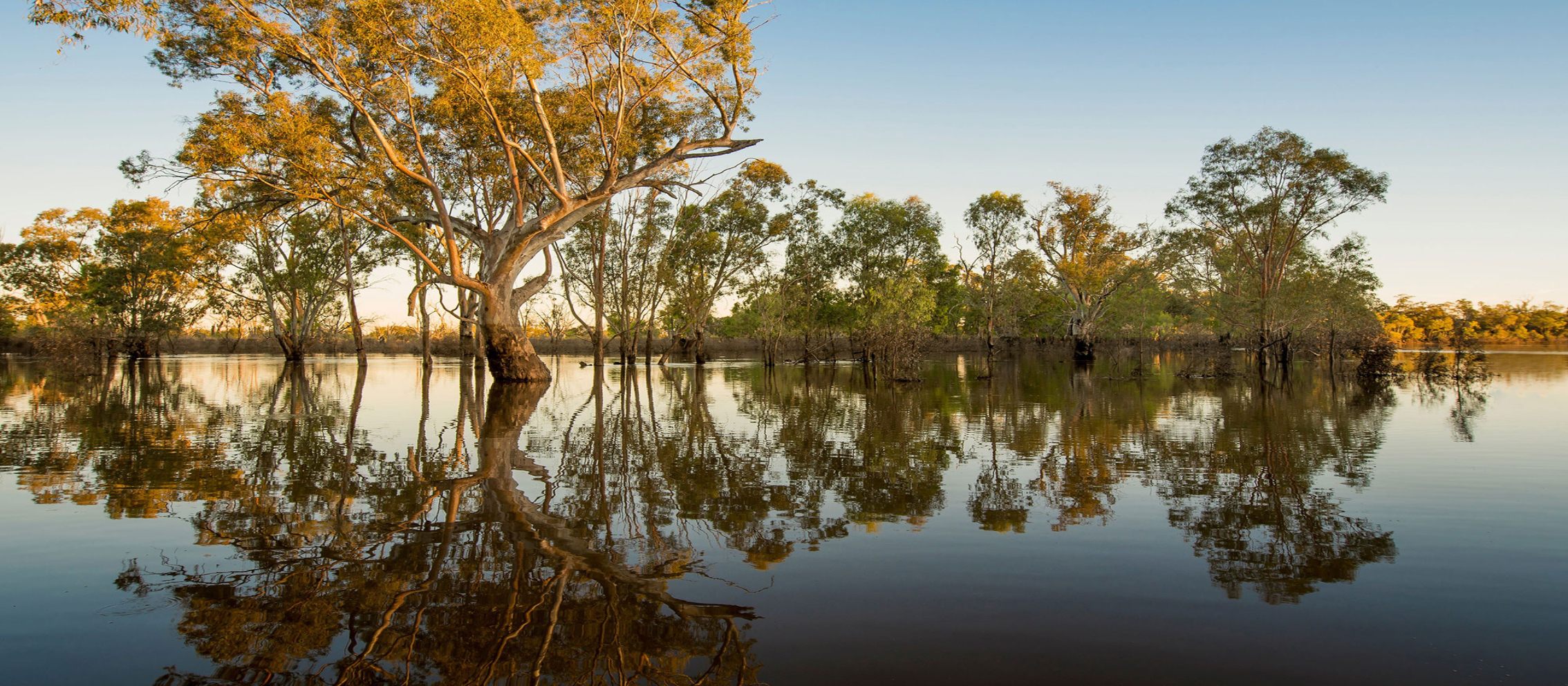 Wetlands Sunset, Mid Murray River - John Spencer