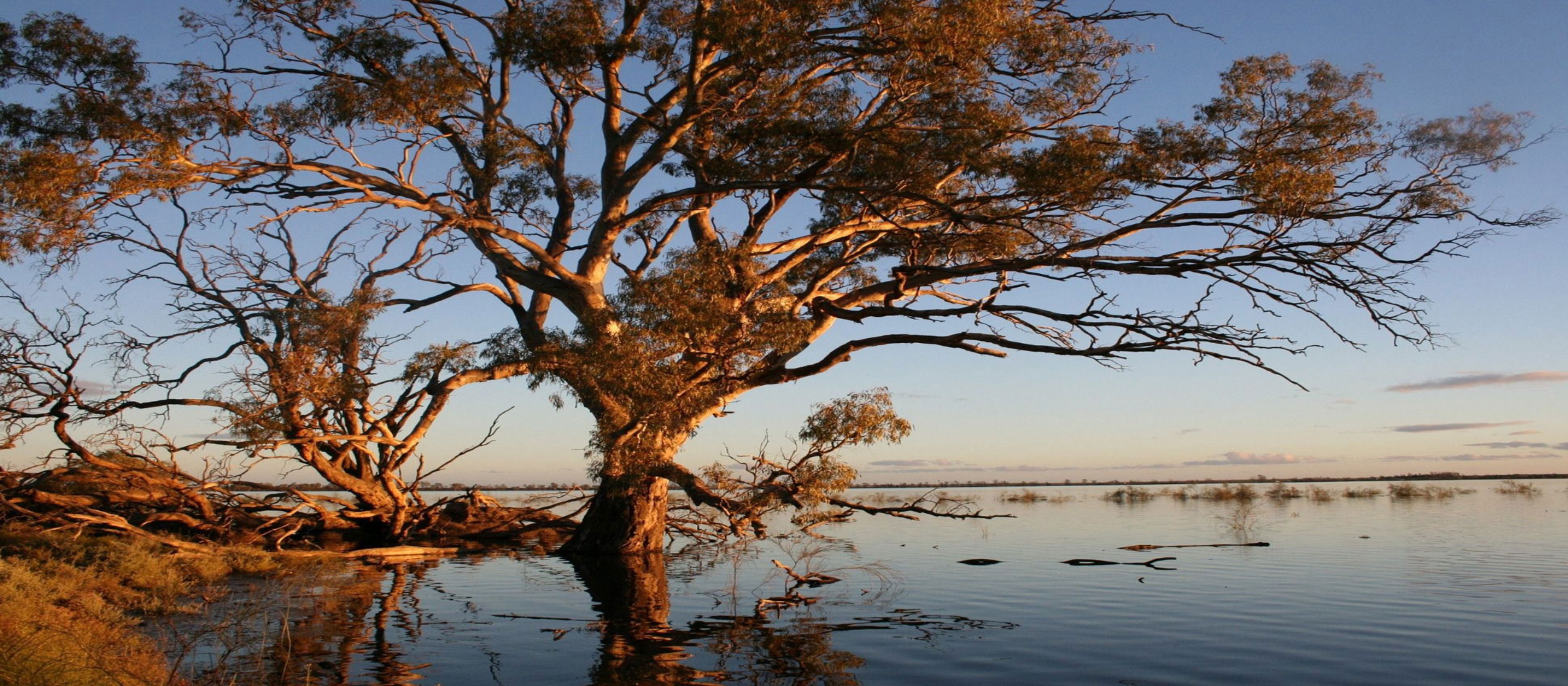 Sunsetting over Darlington Point in Cookoothama.