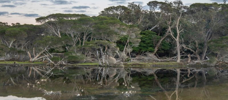 Saltwater Creek in Ben Boyd National Park, Green Cape.