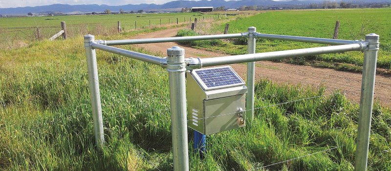 water-monitor-jason-king