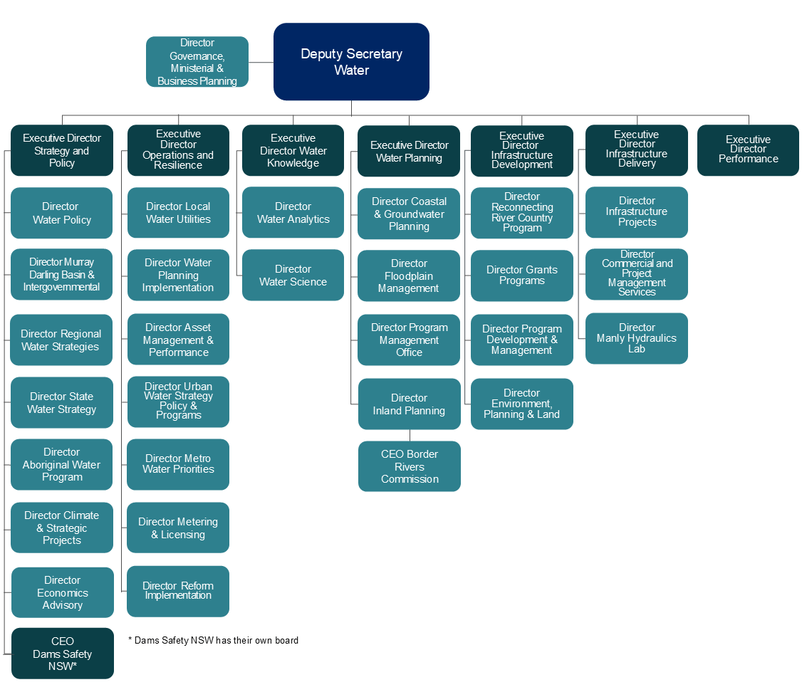 Executive structure of the department's water group.