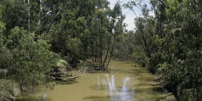 River with trees on the bank