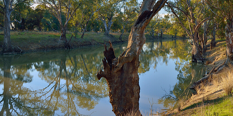 Coonancoocabil Lagoon MIA 11 Murrumbidgee Valley National Park