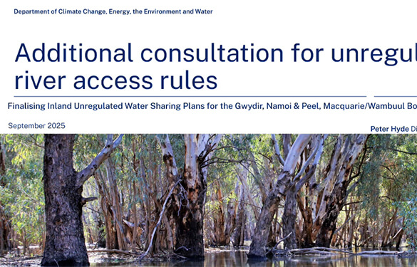 Water sharing plan: Cease to pump webinar, 15 September 2025