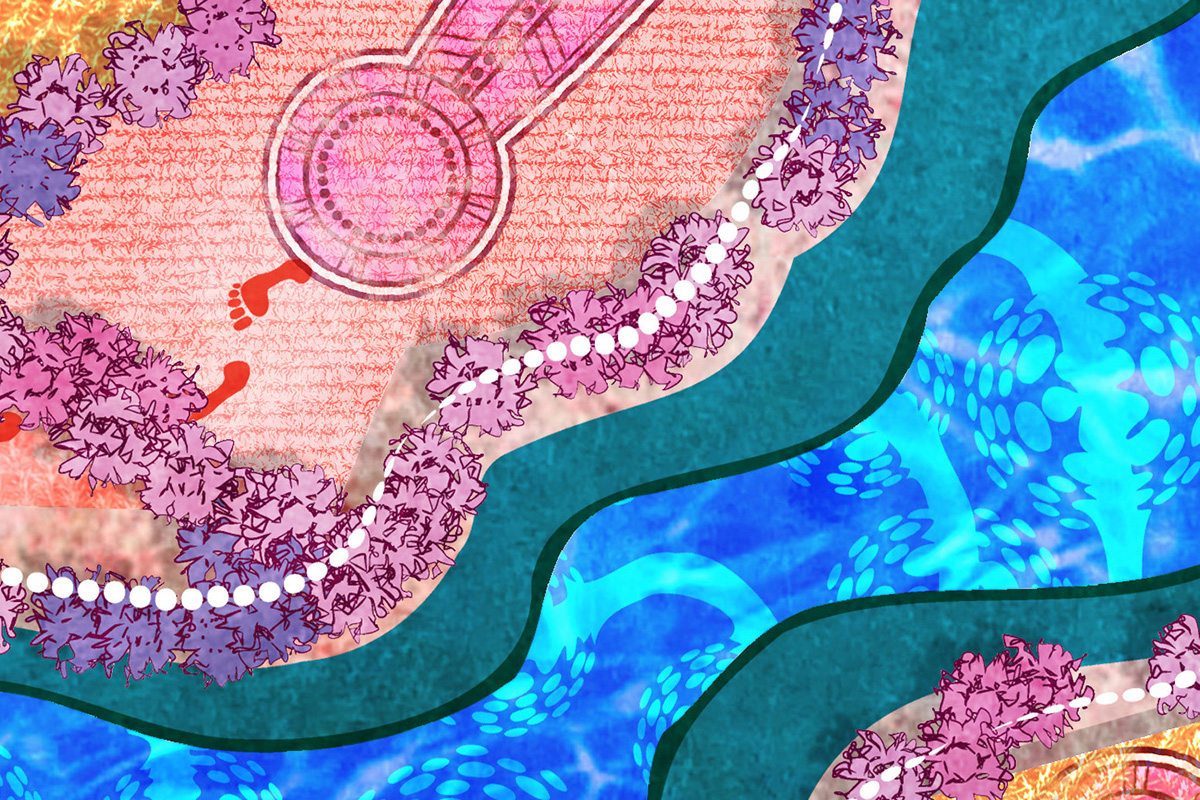 Aboriginal artwork with pink shores and trees and river flowing between