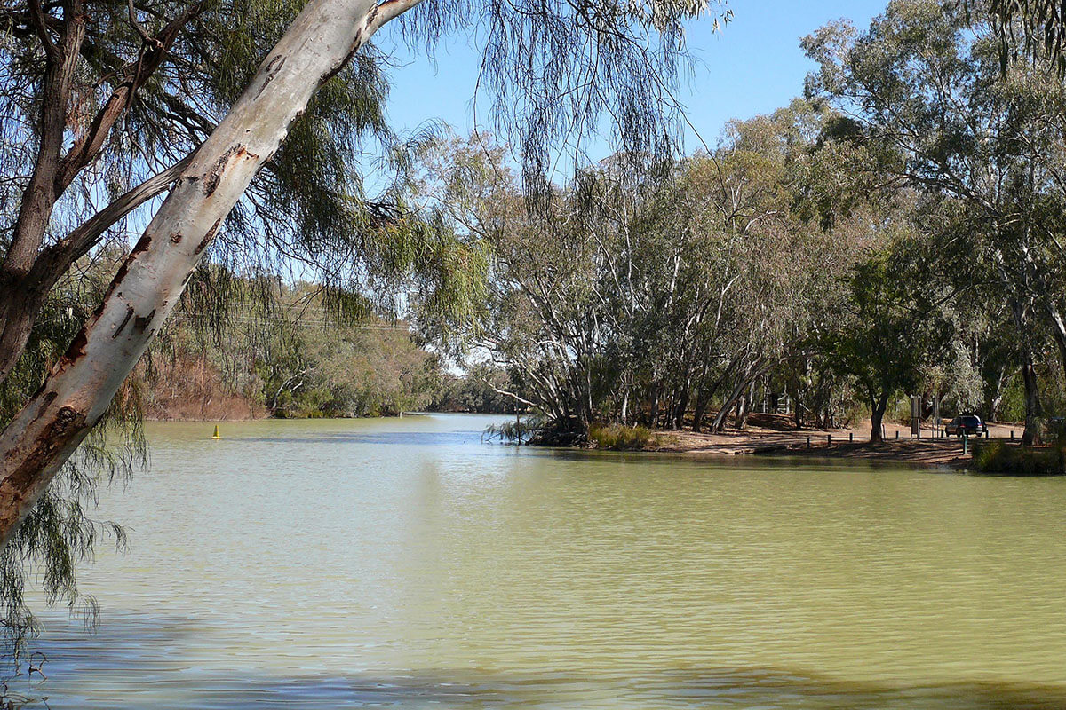 The Bogan river surrounded by trees and bushland