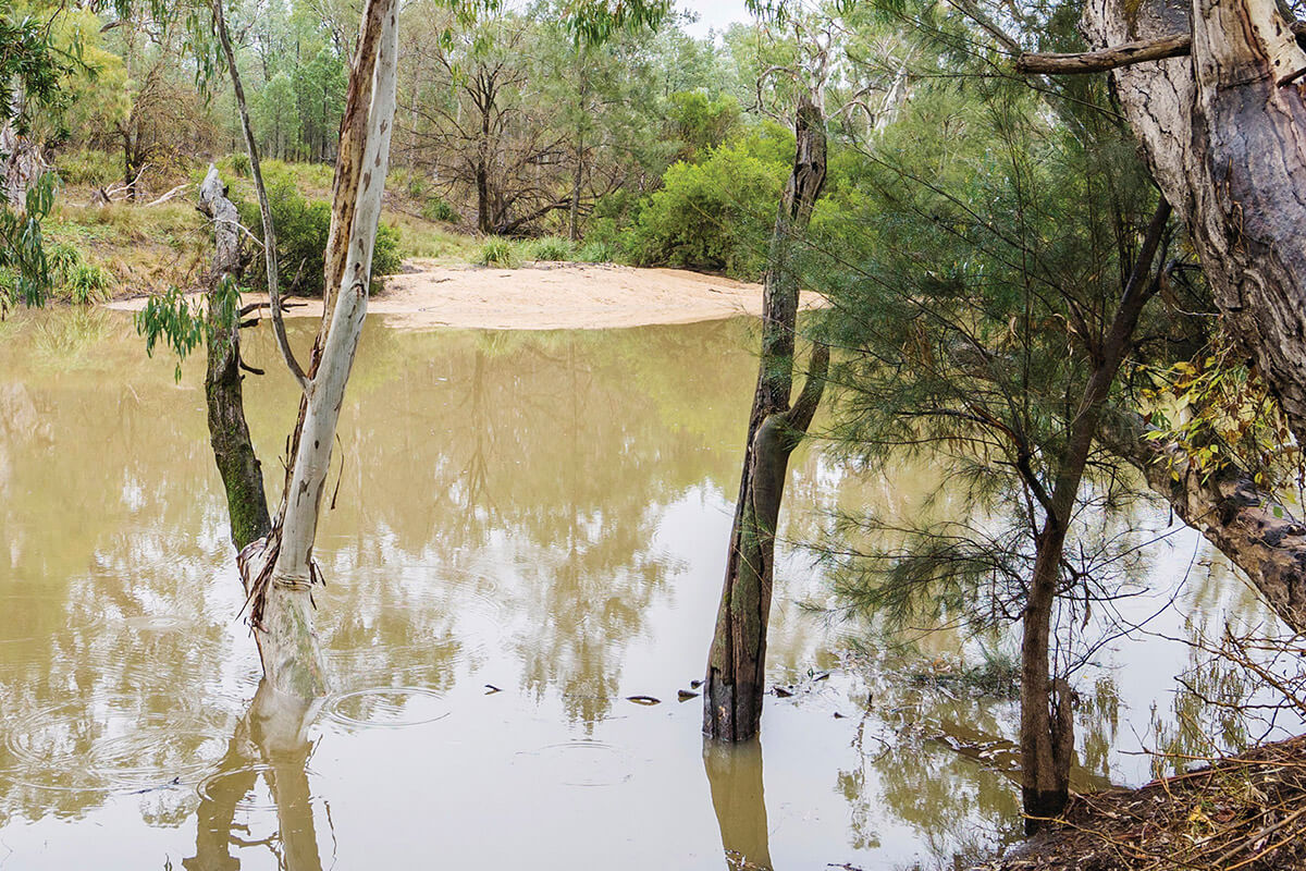 Macintyre River in Kwiambal National Park, New South Wales.