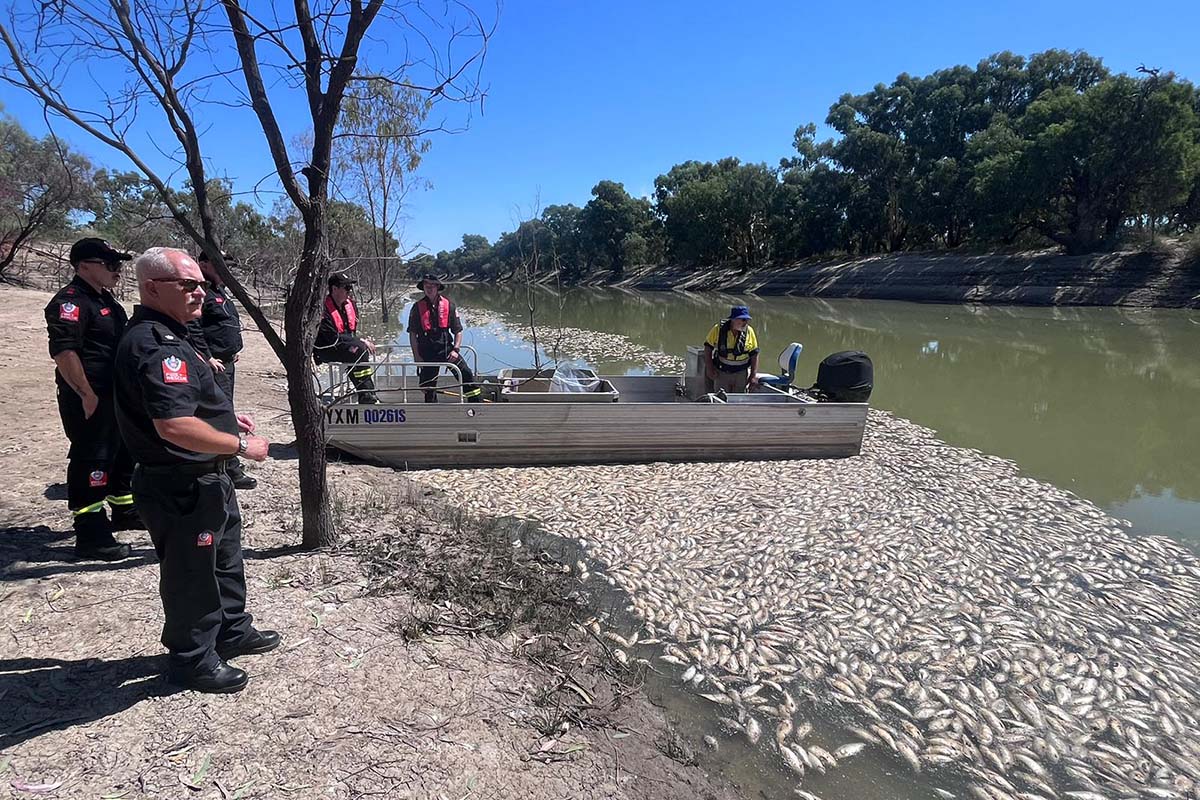 people standing next to a motor boat and hundreds of dead fish lining the shore