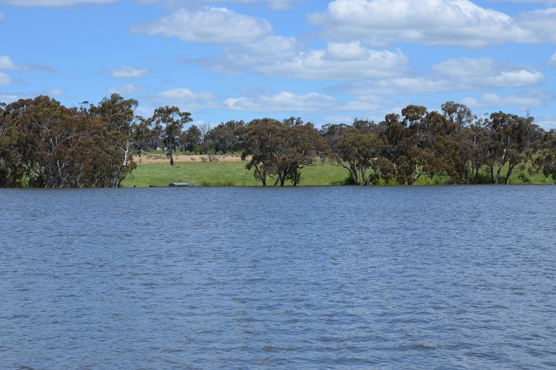 water in a river looking towards the opposite bank where there is grass and trees