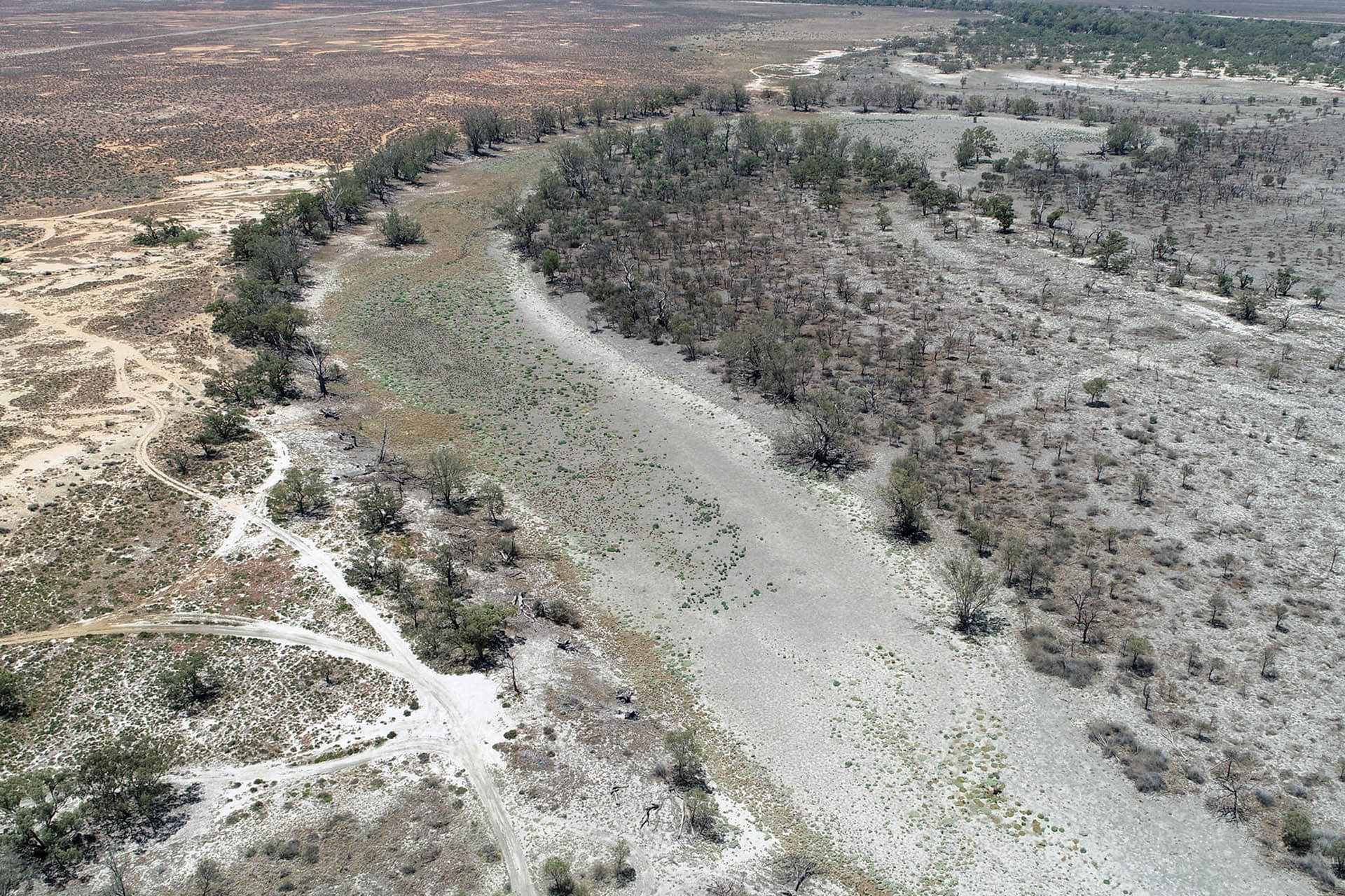 sandy dry river surrounded by dry landscape