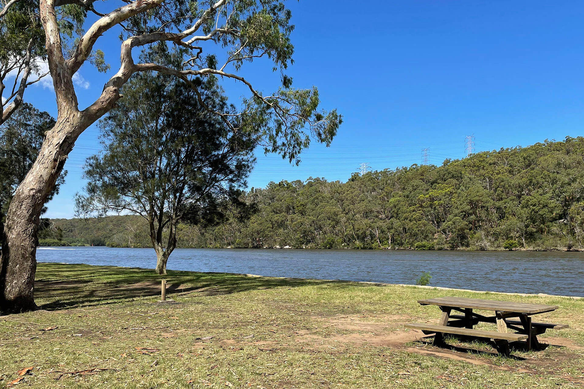 A grassy bank with a park bench and trees stand next to a river. Burrawang Reach picnic area, Georges River National Park.
