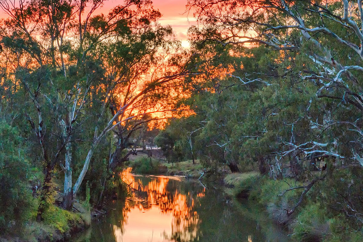 Lachlan River at Condobolin in New South Wales.