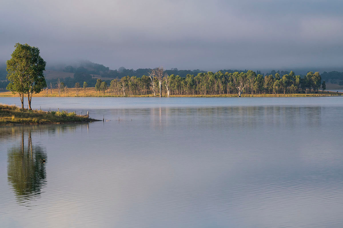 View of a still lake towards a the opposite side. There is a tree in the left foreground