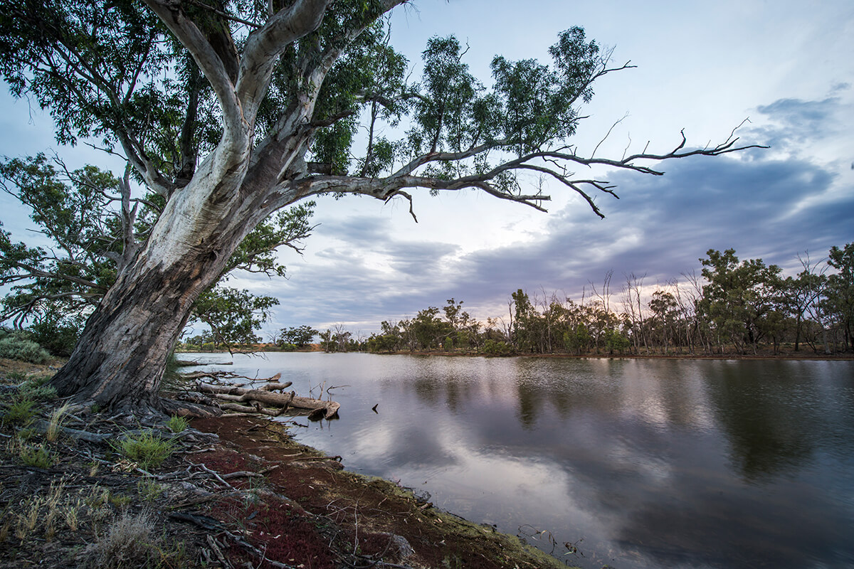 Mid Murray River banks at sunset