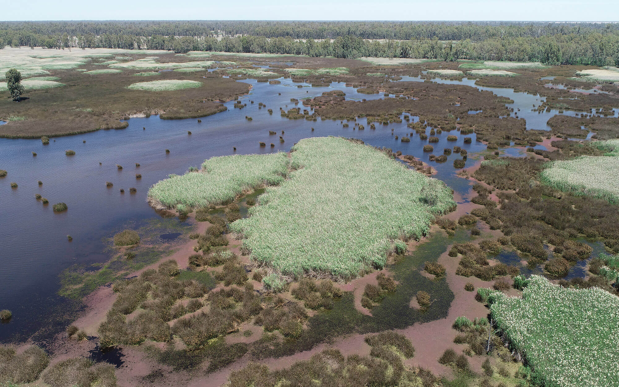 aerial photo of the Murray-Darling Basin with small land massesss surrounded by water