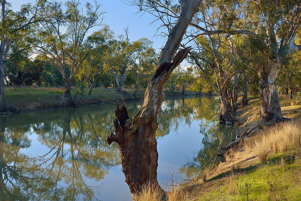 Coonancoocabil Lagoon in the Murrumbidgee Valley National Park