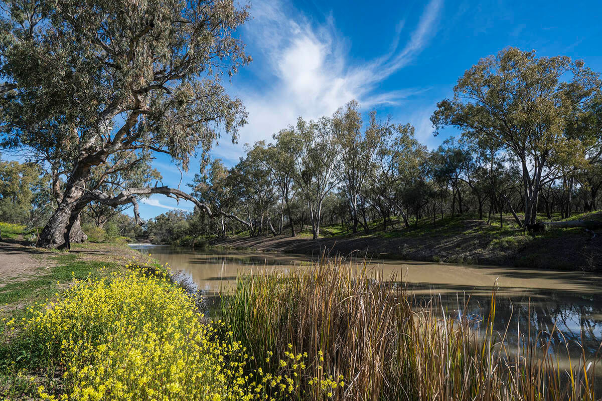The scenic Namoi River at Walgett in country New South Wales