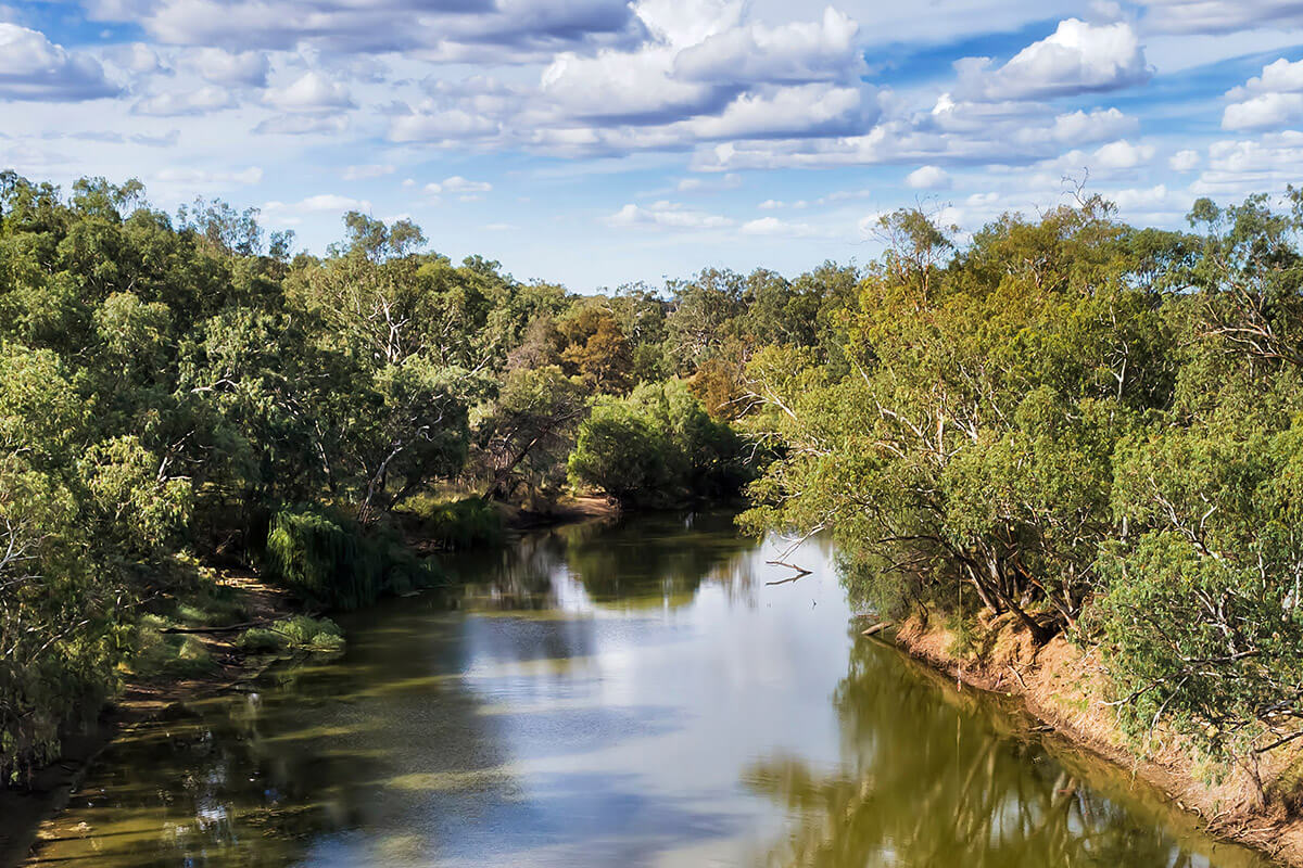 	Gwydir River in Narrabri shire around Moree town, New South Wales