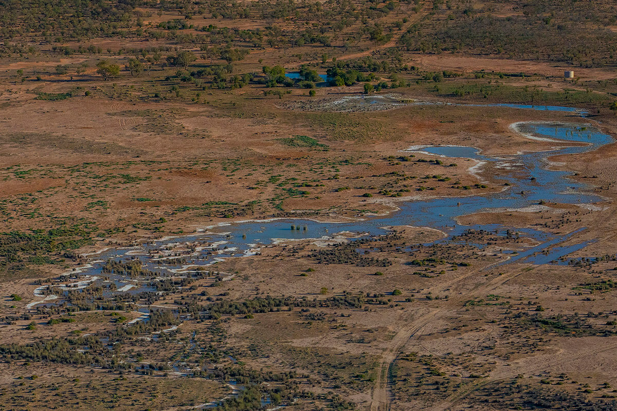 Flowing bore for watering stock, Narriearra Station.