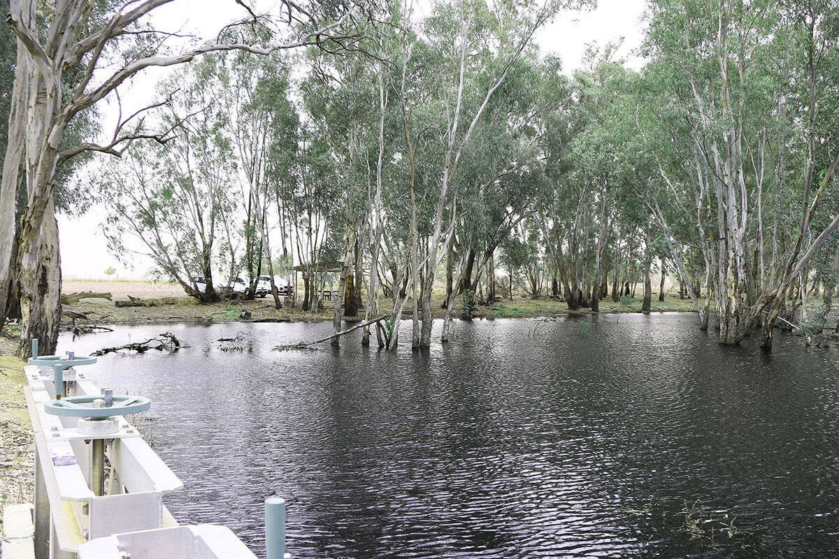 lagoon with trees in the middle and a white fence to the left