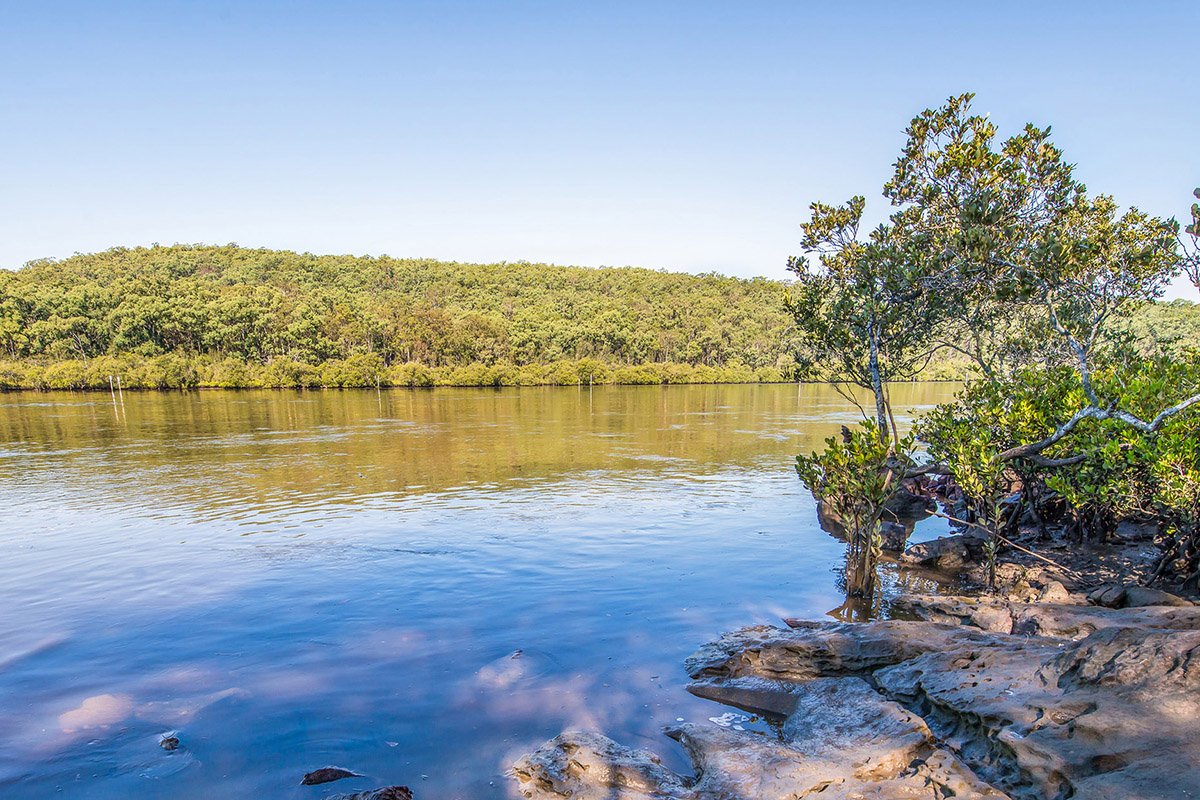 a river with a rocky shore. Trees cover the opposite bank