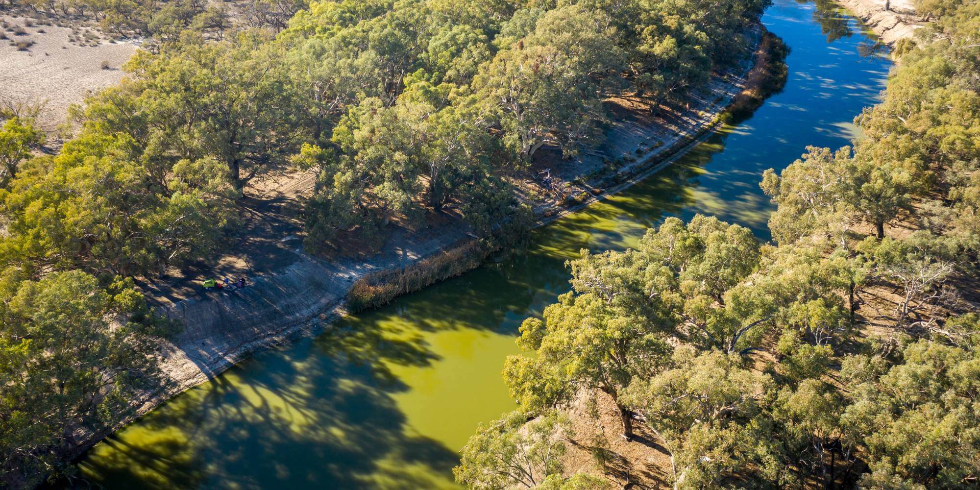 aerial photo of Darling River with trees covering its banks