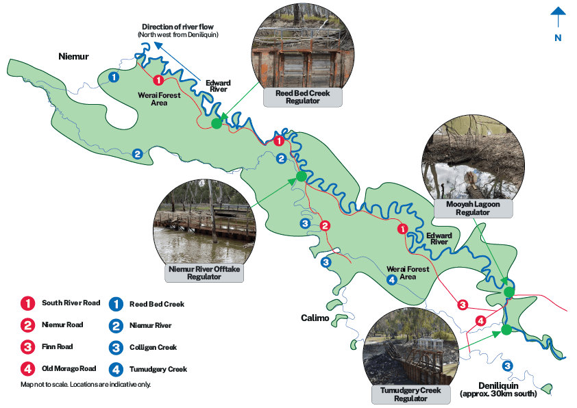 Werai Forest project pictogram