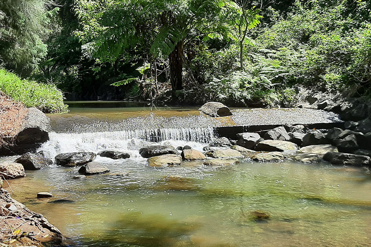 water flowing over rocks in Cabbage Treet Creek in the Wollgong catchment