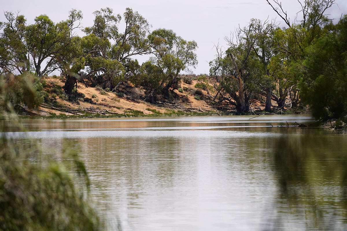 The Great Anabranch of the Darling 