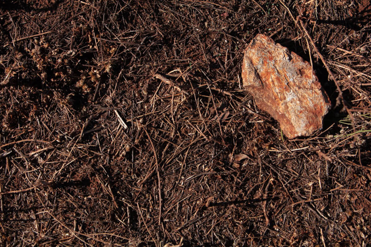 Zoom in of a rock on dry paddock grass 