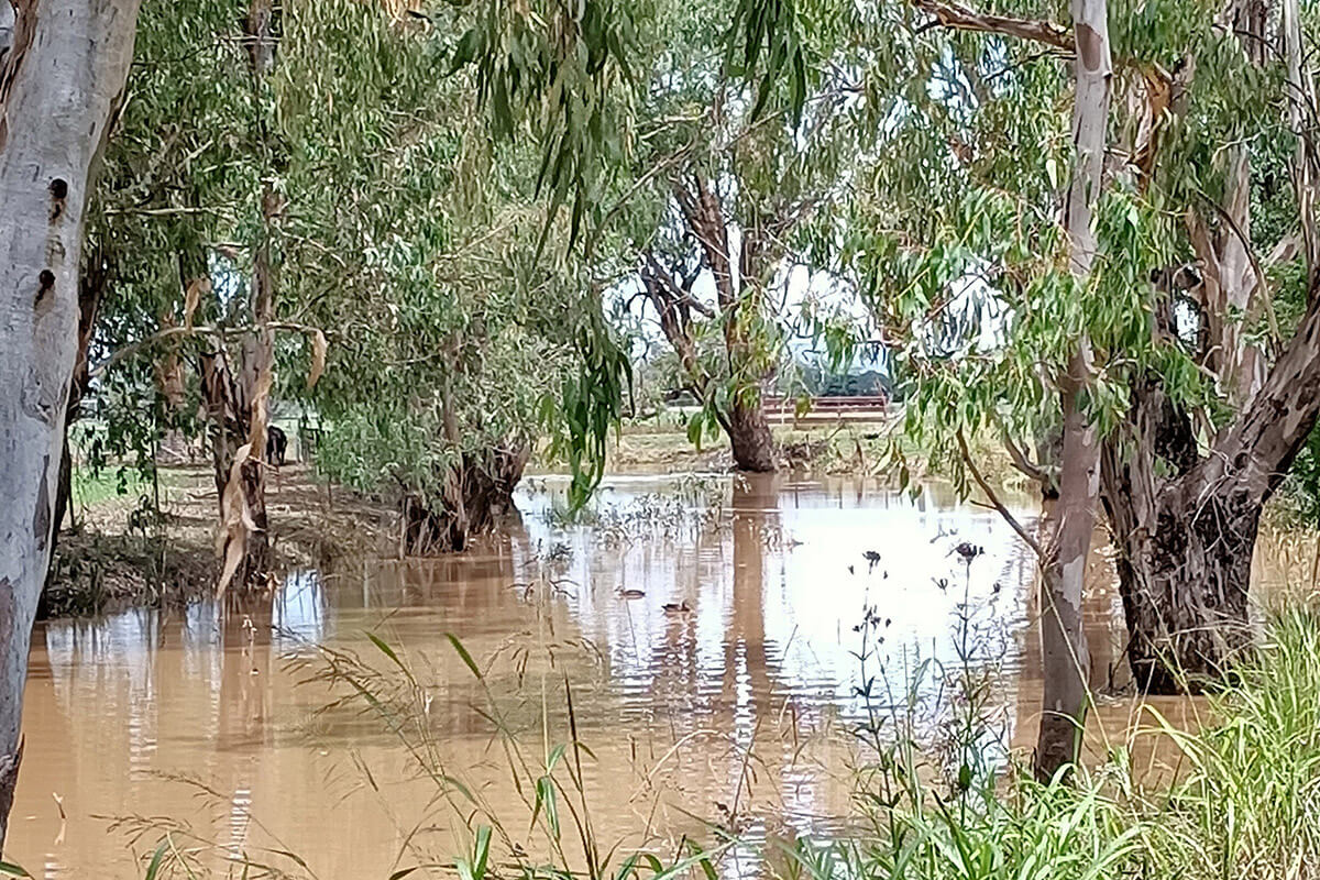 Namoi River