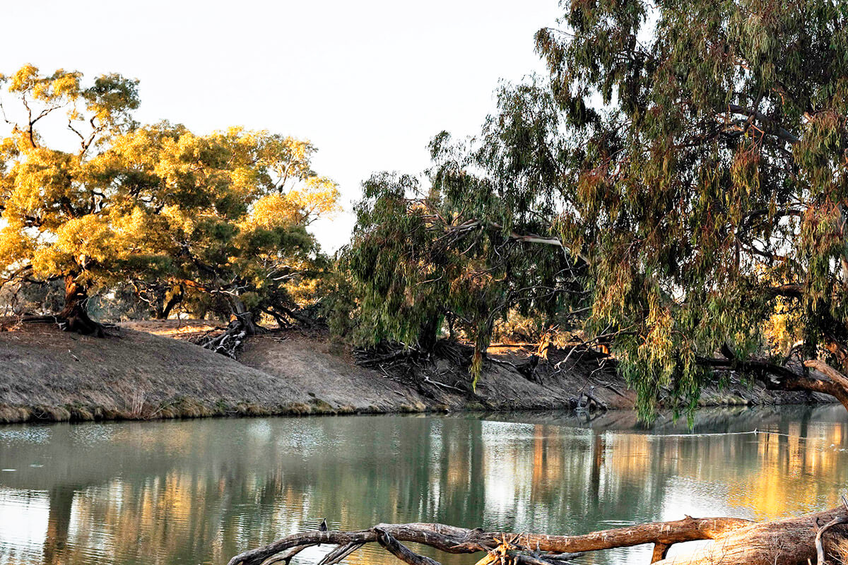Morning sun over the Darling River